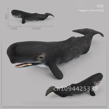 Simulation Marine Animal Big Shark Whale Figure Beluga Megalodon Educational Model Toy For Kids