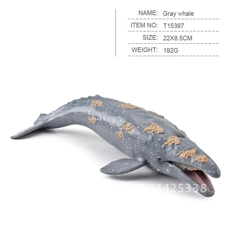 Simulation Marine Animal Big Shark Whale Figure Beluga Megalodon Educational Model Toy For Kids