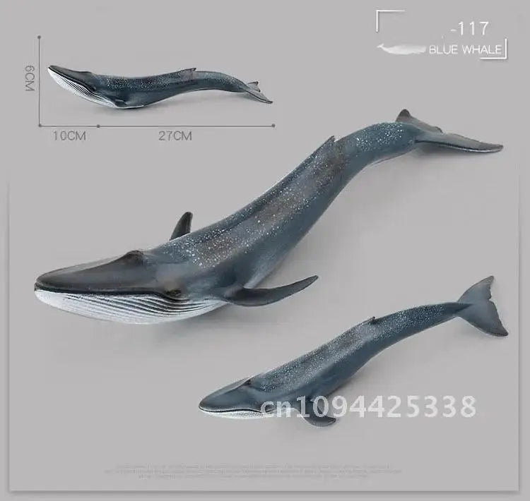 Simulation Marine Animal Big Shark Whale Figure Beluga Megalodon Educational Model Toy For Kids